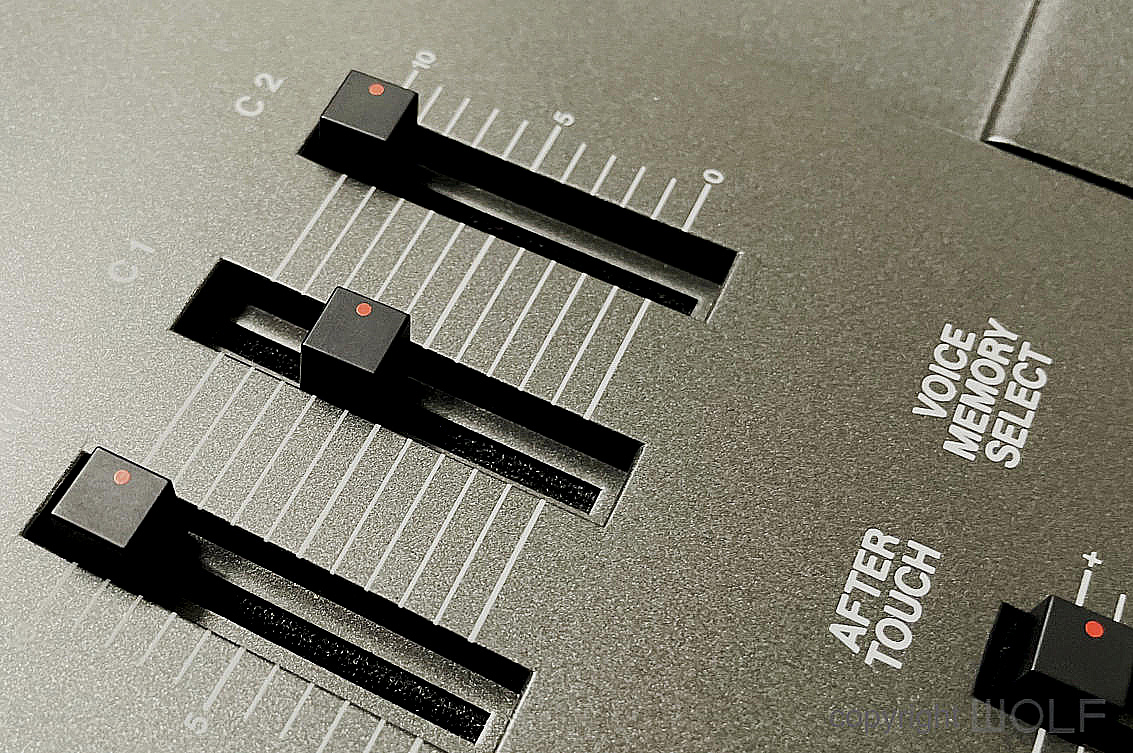 SLIDER_CAPS